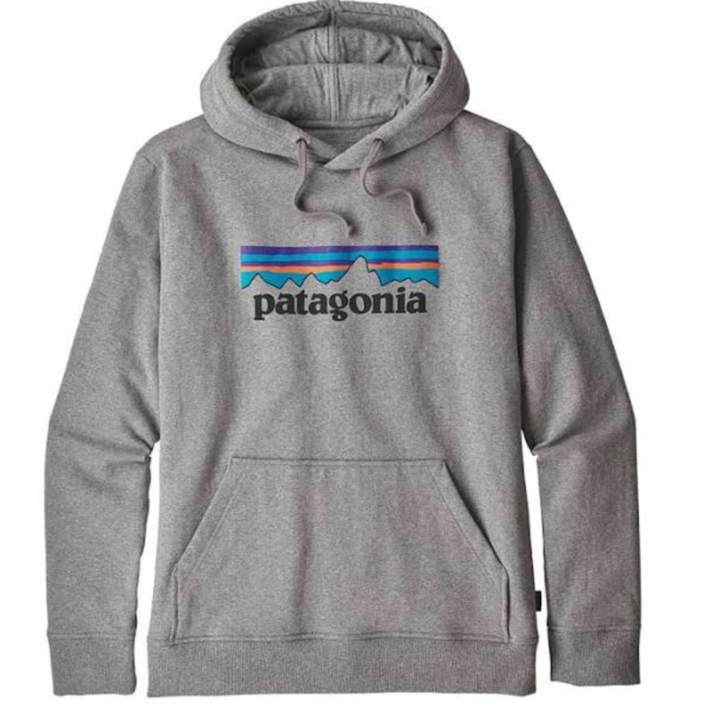 Patagonia P-6 Logo Hoody